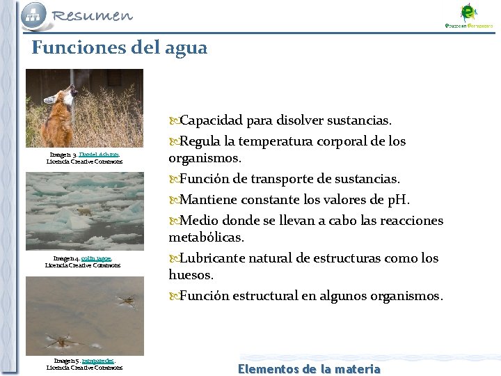 Funciones del agua Capacidad para disolver sustancias. Regula la temperatura corporal de los Imagen