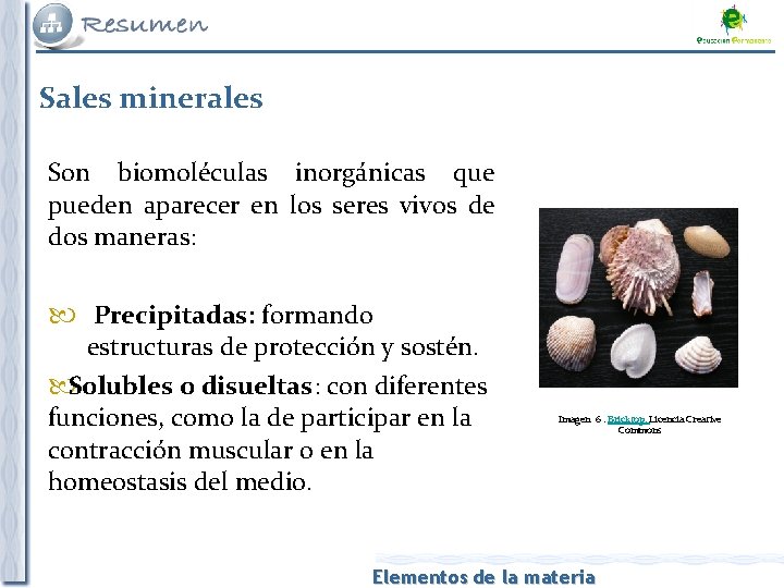Sales minerales Son biomoléculas inorgánicas que pueden aparecer en los seres vivos de dos