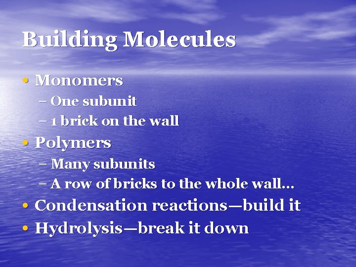 Building Molecules • Monomers – One subunit – 1 brick on the wall •