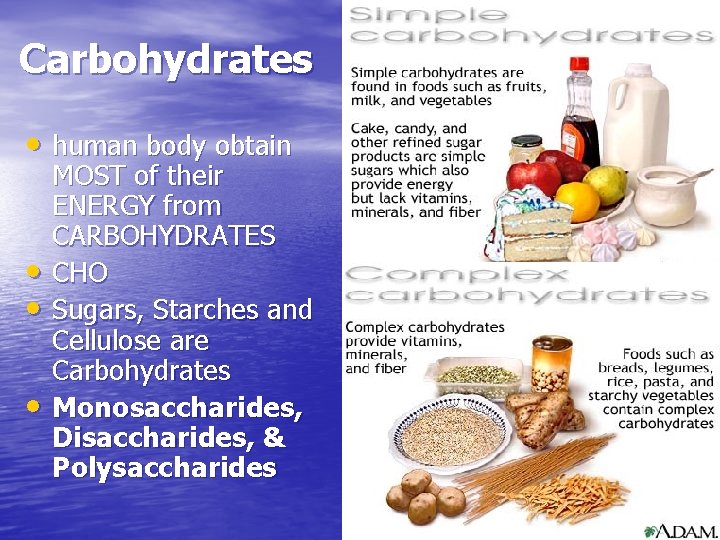 Carbohydrates • human body obtain • • • MOST of their ENERGY from CARBOHYDRATES