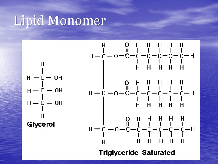 Lipid Monomer 