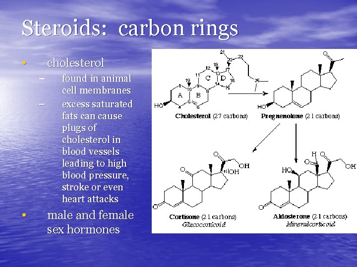 Steroids: carbon rings • cholesterol – – • found in animal cell membranes excess