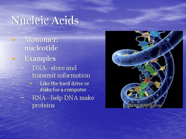 Nucleic Acids • Monomer: nucleotide Examples • – DNA—store and transmit information • Like