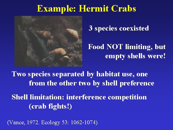 Example: Hermit Crabs 3 species coexisted Food NOT limiting, but empty shells were! Two