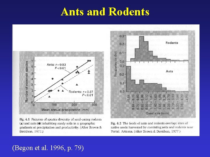 Ants and Rodents (Begon et al. 1996, p. 79) 