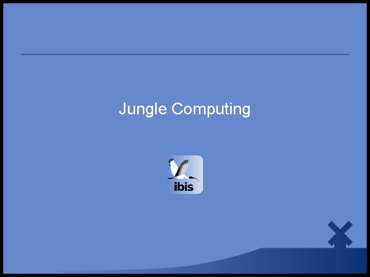 Jungle Computing 