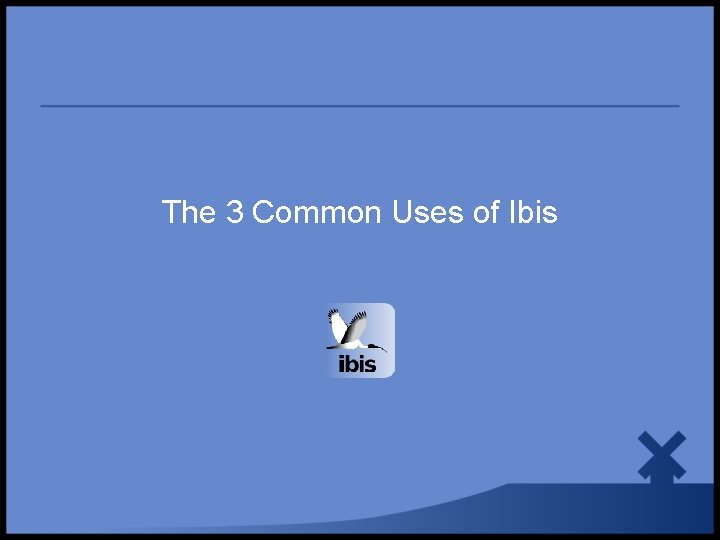 The 3 Common Uses of Ibis 