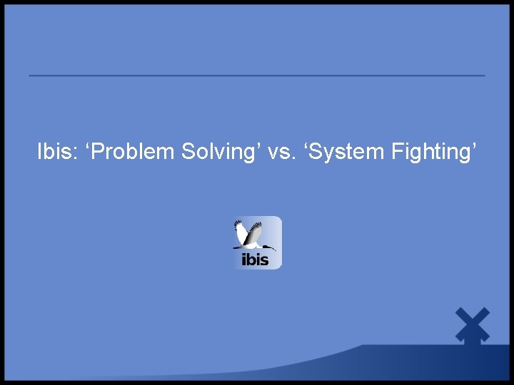 Ibis: ‘Problem Solving’ vs. ‘System Fighting’ 