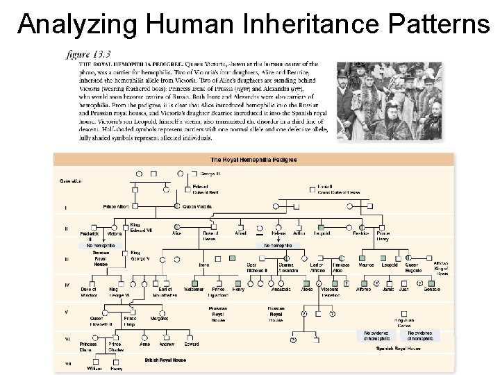 Analyzing Human Inheritance Patterns 