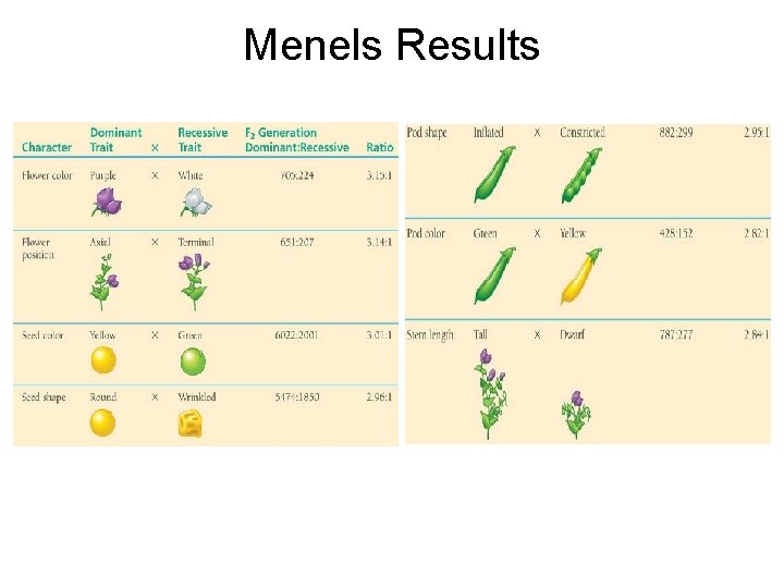 Menels Results 