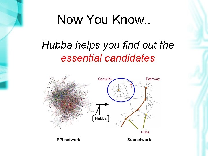 Now You Know. . Hubba helps you find out the essential candidates 