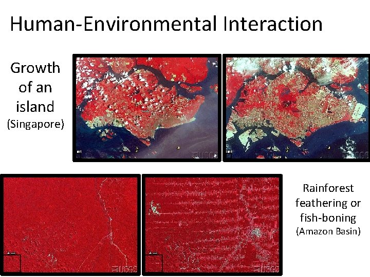 Human-Environmental Interaction Growth of an island (Singapore) Rainforest feathering or fish-boning (Amazon Basin) 