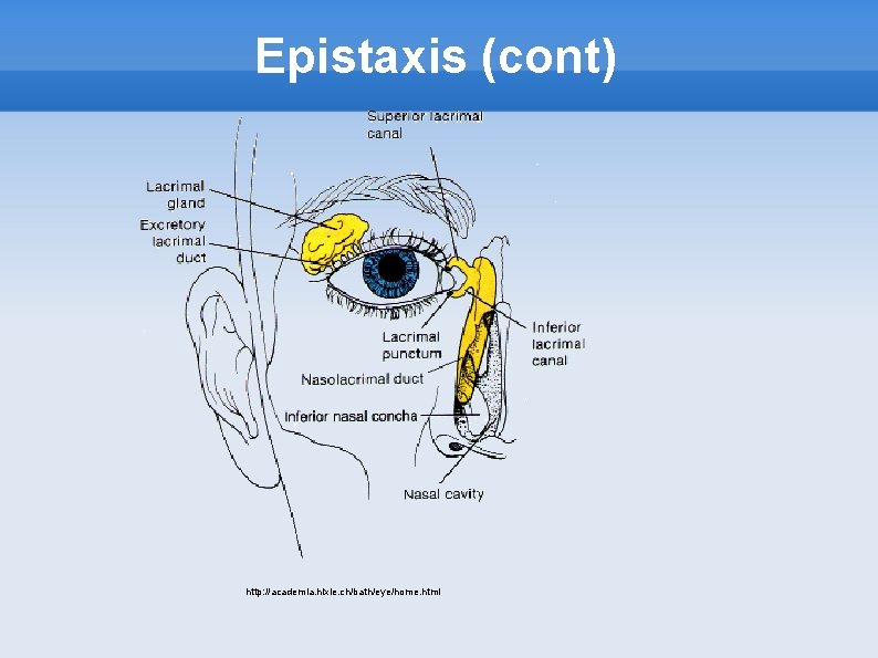Epistaxis (cont) http: //academia. hixie. ch/bath/eye/home. html 