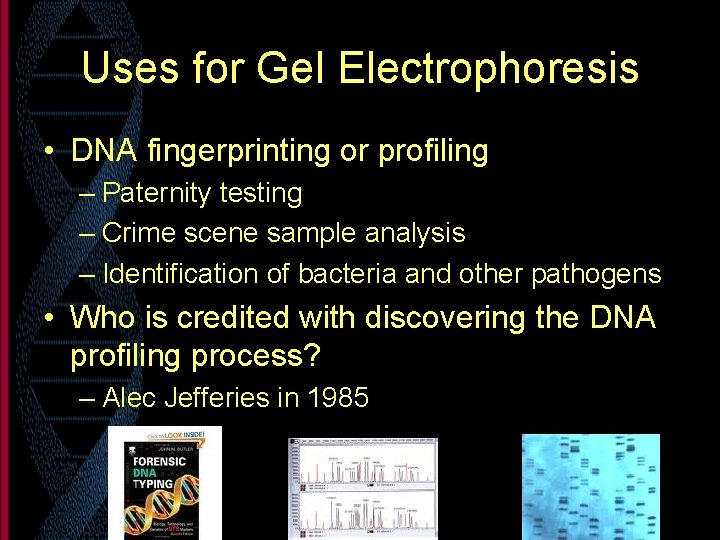 Uses for Gel Electrophoresis • DNA fingerprinting or profiling – Paternity testing – Crime