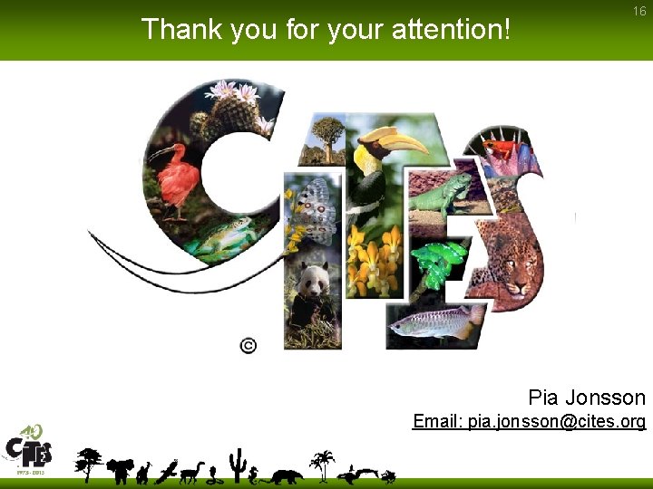 Thank you for your attention! 16 Pia Jonsson Email: pia. jonsson@cites. org 