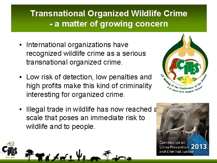 Transnational Organized Wildlife Crime - a matter of growing concern • International organizations have