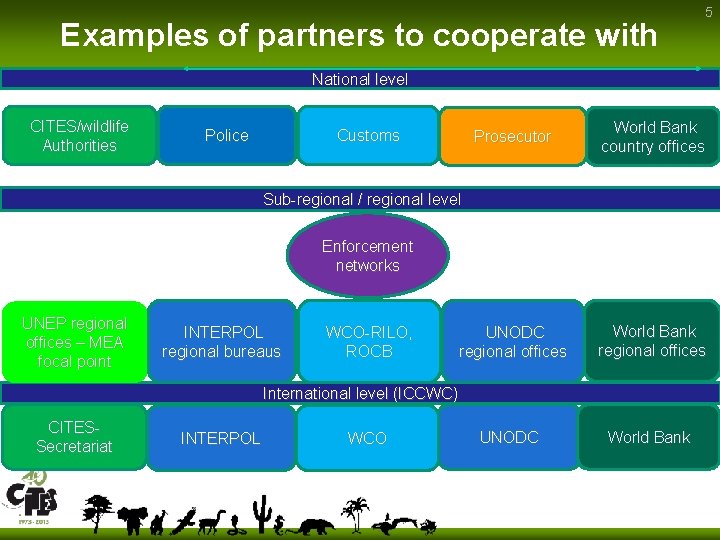 Examples of partners to cooperate with 5 National level CITES/wildlife Authorities Police Prosecutor World