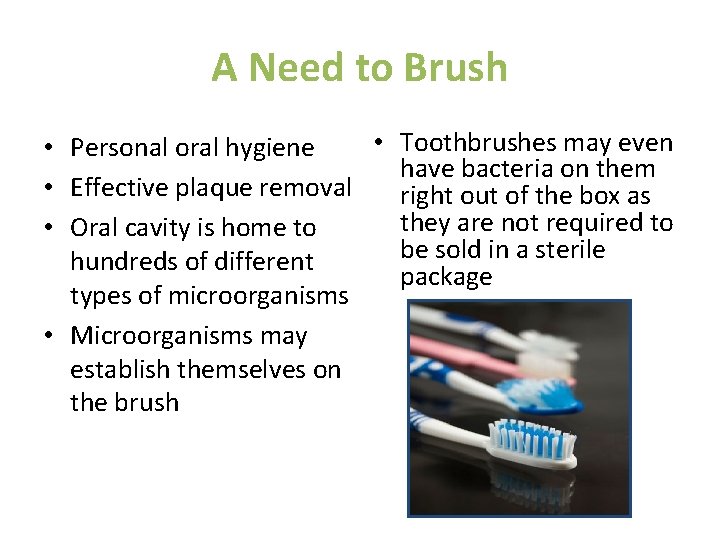 A Need to Brush • Toothbrushes may even • Personal oral hygiene have bacteria