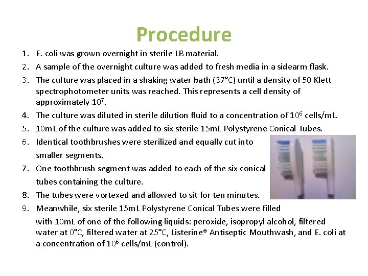 Procedure 1. E. coli was grown overnight in sterile LB material. 2. A sample