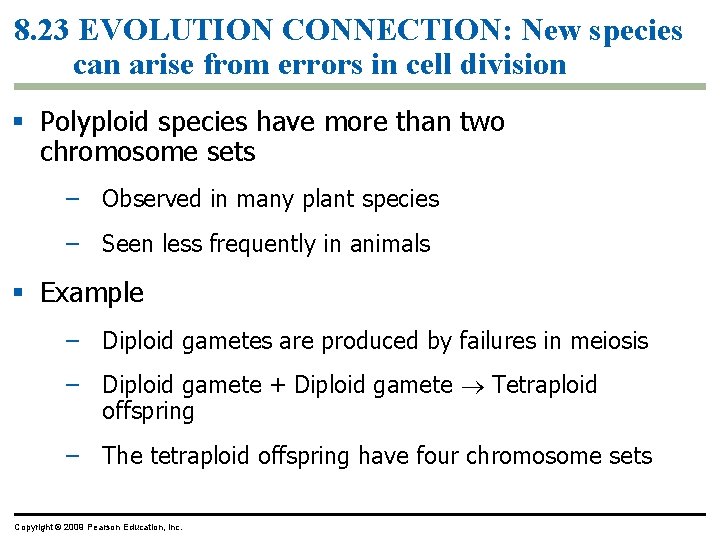 8. 23 EVOLUTION CONNECTION: New species can arise from errors in cell division Polyploid