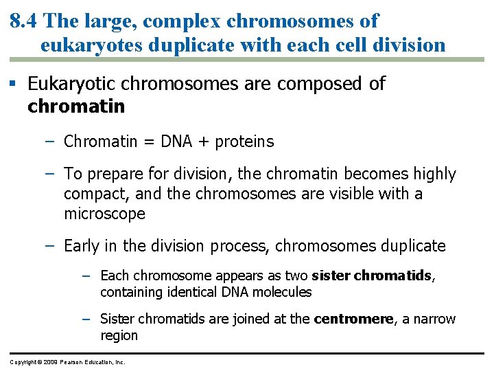 8. 4 The large, complex chromosomes of eukaryotes duplicate with each cell division Eukaryotic