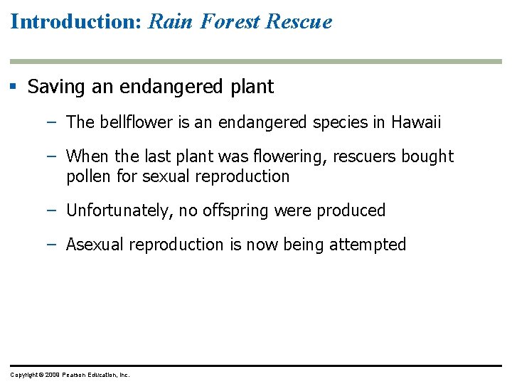 Introduction: Rain Forest Rescue Saving an endangered plant – The bellflower is an endangered