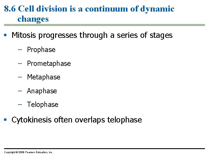 8. 6 Cell division is a continuum of dynamic changes Mitosis progresses through a