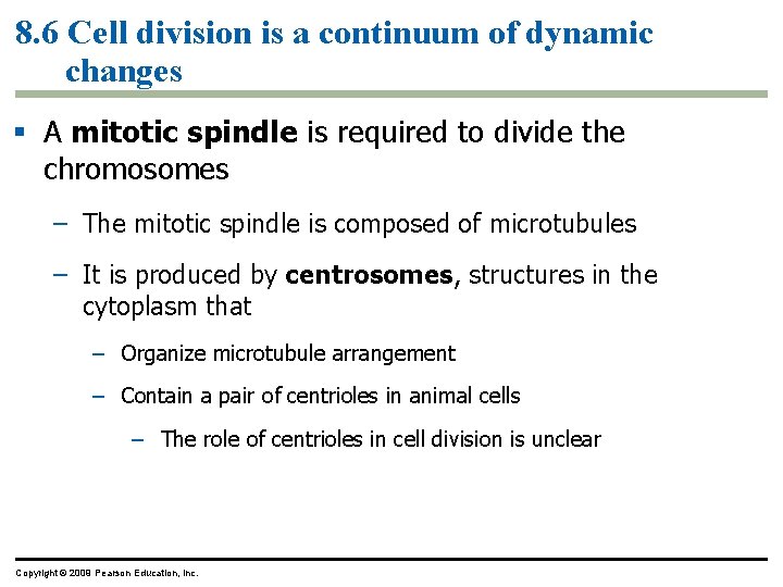 8. 6 Cell division is a continuum of dynamic changes A mitotic spindle is