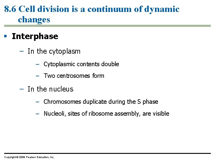 8. 6 Cell division is a continuum of dynamic changes Interphase – In the