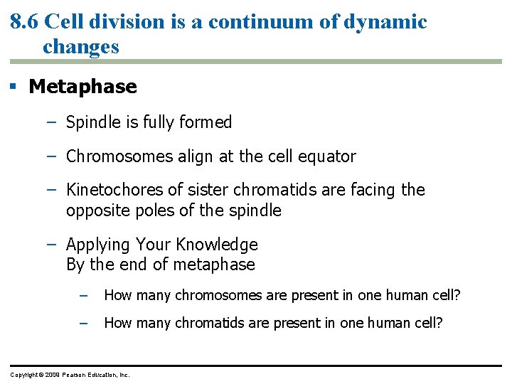 8. 6 Cell division is a continuum of dynamic changes Metaphase – Spindle is