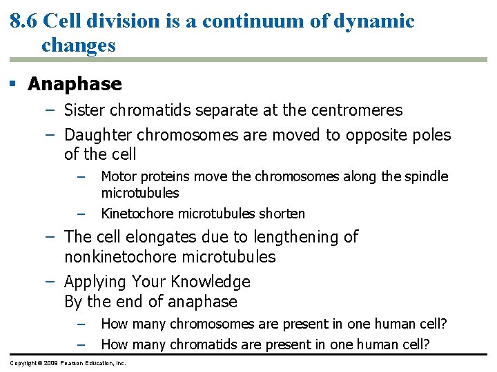 8. 6 Cell division is a continuum of dynamic changes Anaphase – Sister chromatids