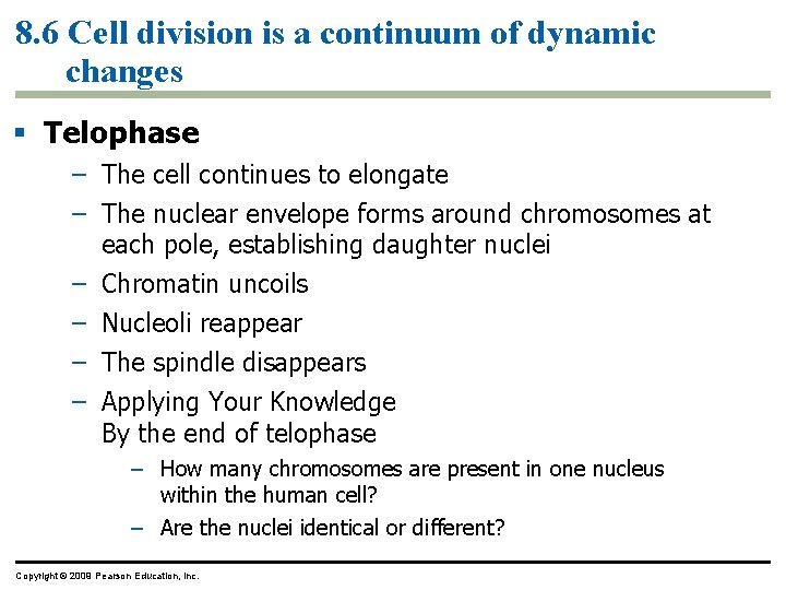 8. 6 Cell division is a continuum of dynamic changes Telophase – The cell