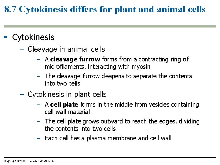 8. 7 Cytokinesis differs for plant and animal cells Cytokinesis – Cleavage in animal