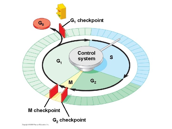G 1 checkpoint G 0 Control system G 1 M M checkpoint G 2