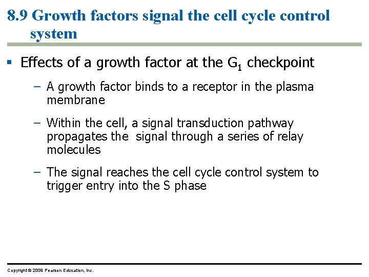 8. 9 Growth factors signal the cell cycle control system Effects of a growth