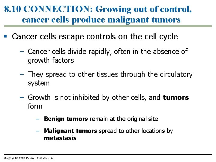 8. 10 CONNECTION: Growing out of control, cancer cells produce malignant tumors Cancer cells