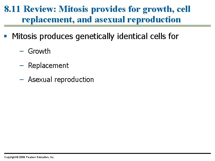 8. 11 Review: Mitosis provides for growth, cell replacement, and asexual reproduction Mitosis produces
