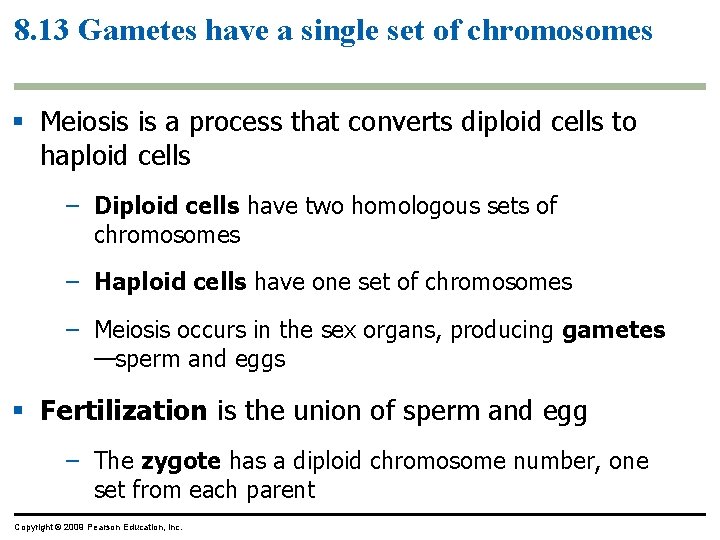 8. 13 Gametes have a single set of chromosomes Meiosis is a process that