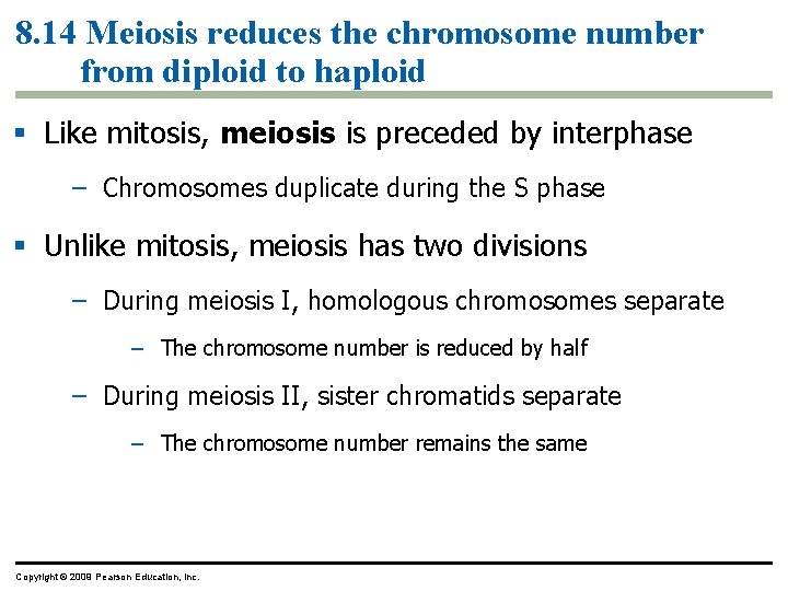 8. 14 Meiosis reduces the chromosome number from diploid to haploid Like mitosis, meiosis