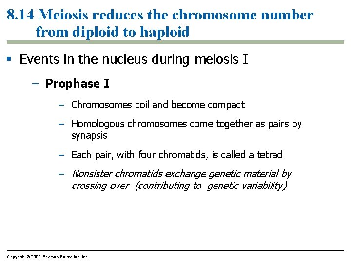 8. 14 Meiosis reduces the chromosome number from diploid to haploid Events in the