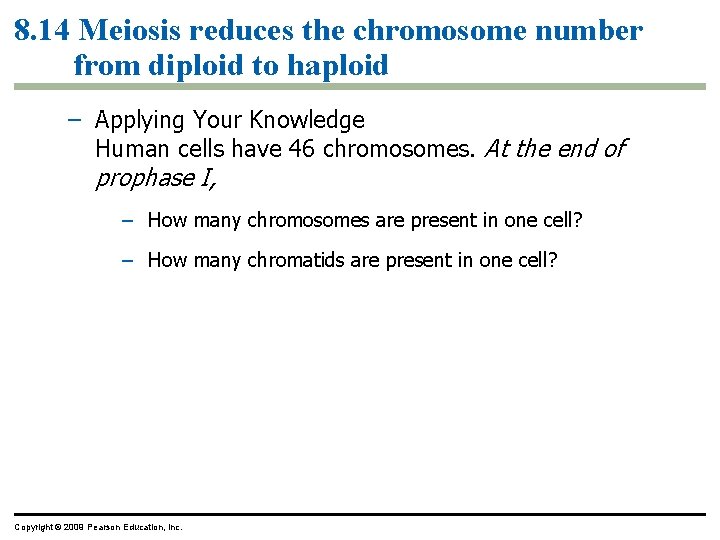 8. 14 Meiosis reduces the chromosome number from diploid to haploid – Applying Your