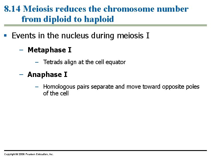 8. 14 Meiosis reduces the chromosome number from diploid to haploid Events in the