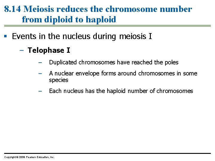 8. 14 Meiosis reduces the chromosome number from diploid to haploid Events in the