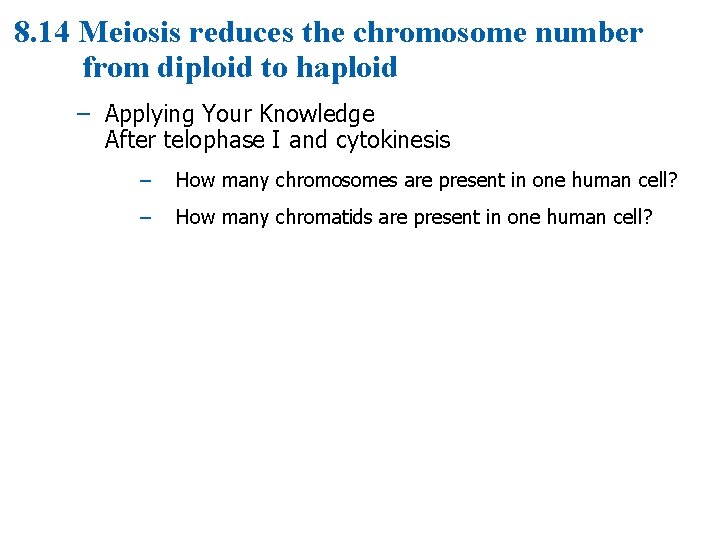 8. 14 Meiosis reduces the chromosome number from diploid to haploid – Applying Your