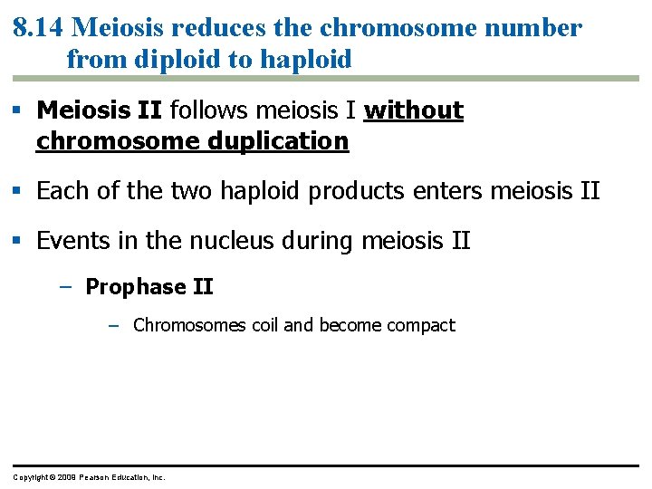 8. 14 Meiosis reduces the chromosome number from diploid to haploid Meiosis II follows