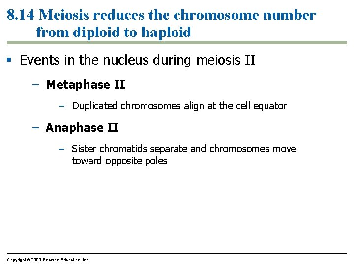 8. 14 Meiosis reduces the chromosome number from diploid to haploid Events in the