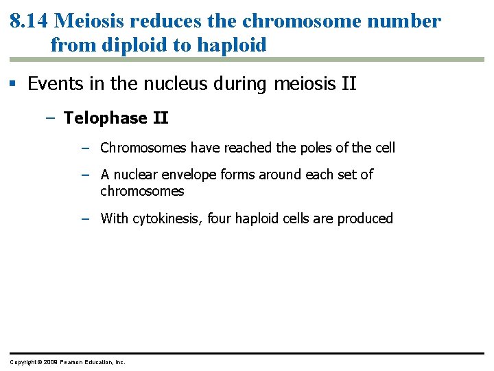 8. 14 Meiosis reduces the chromosome number from diploid to haploid Events in the