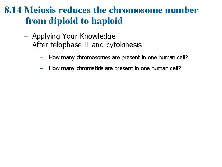 8. 14 Meiosis reduces the chromosome number from diploid to haploid – Applying Your