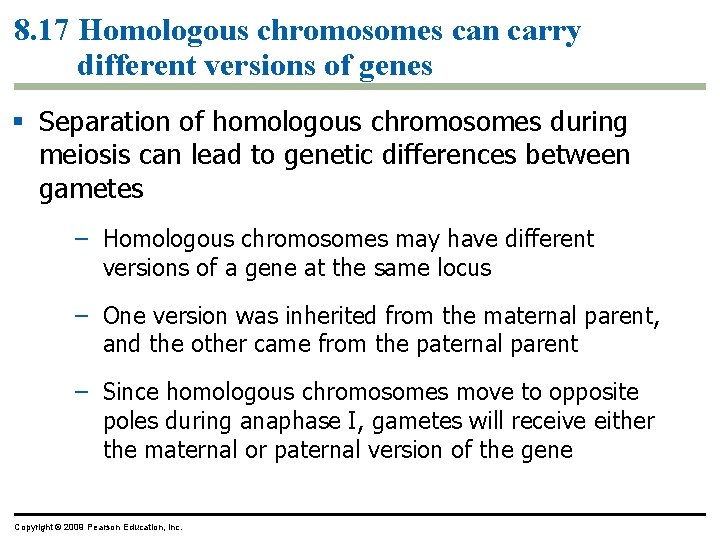 8. 17 Homologous chromosomes can carry different versions of genes Separation of homologous chromosomes