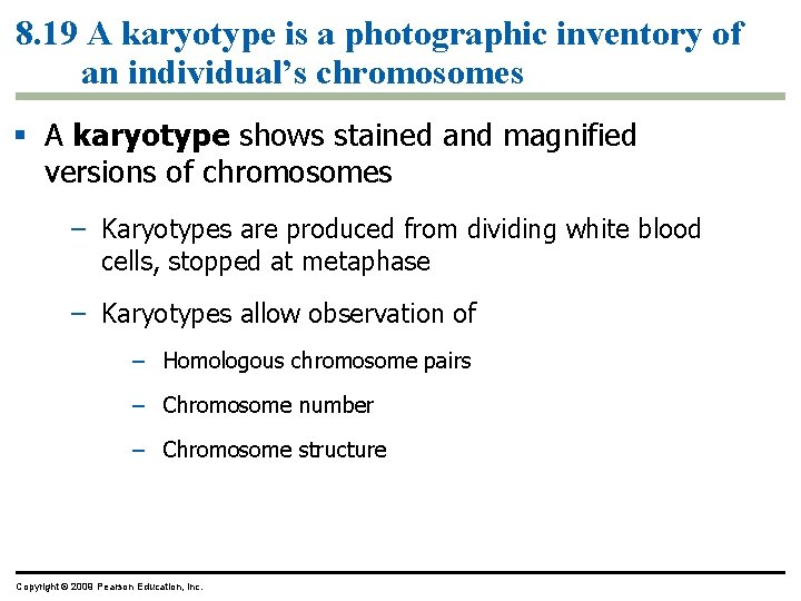 8. 19 A karyotype is a photographic inventory of an individual’s chromosomes A karyotype